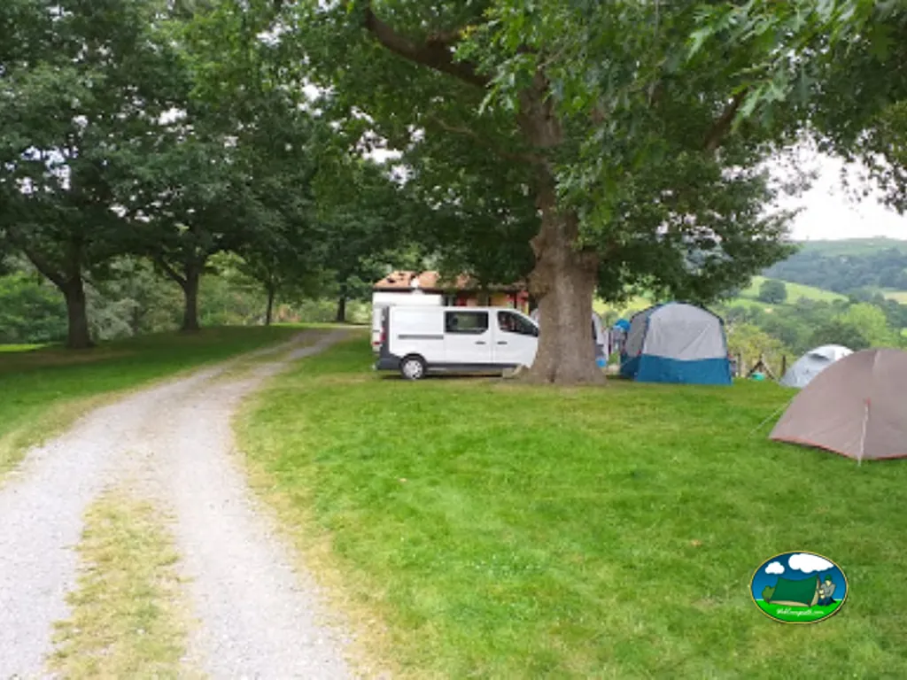furgoneta camper bajo árboles