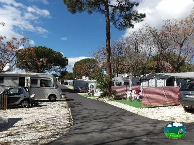 Mobil-home y parcelas arboladas del Camping Cabopino, Marbella (Málaga)