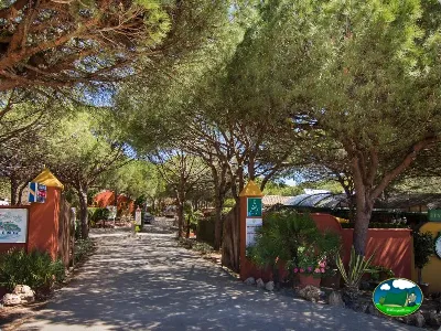 Parcela con bungalow y sombra de árboles del Camping Cabopino, Marbella (Málaga)