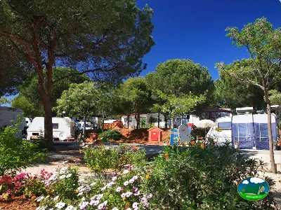 Parque infantil con parcelas y mobil-homes entre pinos del Camping Cabopino, Marbella (Málaga)