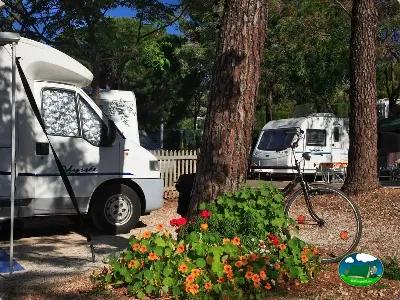 Parcela con mobil-home entre árboles del Camping Cabopino, Marbella (Málaga)