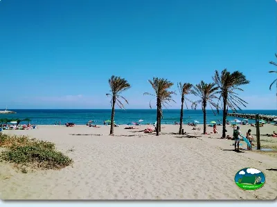 Playa junto al mar con palmeras y bañistas del Camping Cabopino, Marbella (Málaga)