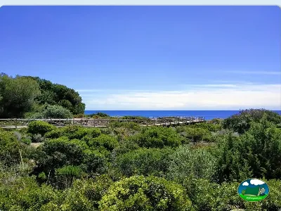 Junto al mar con vistas panorámicas y vegetación mediterránea del Camping Cabopino, Marbella (Málaga)