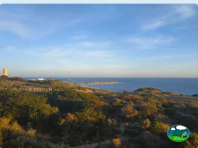 Vistas al mar desde parcela con vegetación mediterranea del Camping Cabopino, Marbella (Málaga)