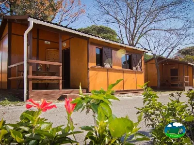 Mobil-home con terraza y flores del Camping Cabopino, Marbella (Málaga)