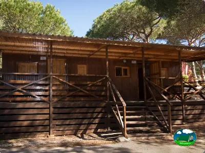 Cabaña de madera con porche y vistas a pinar del Camping Cabopino, Marbella (Málaga)