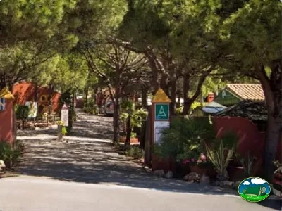Parcela con bungalow entre árboles del Camping Cabopino, Marbella (Málaga)
