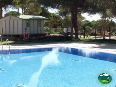 Piscina con mobil-home y arboleda del Camping Cabopino, Marbella (Málaga)