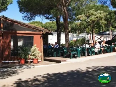 Bungalow rojo con terraza y zona común entre árboles del Camping Cabopino, Marbella (Málaga)