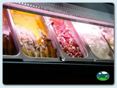 Máquina de helados con sabores variados del Camping Valle Niza Playa, Benajarafe (Málaga)