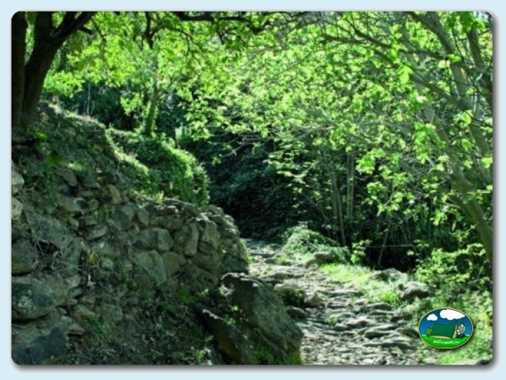 Camping Laguna Playa