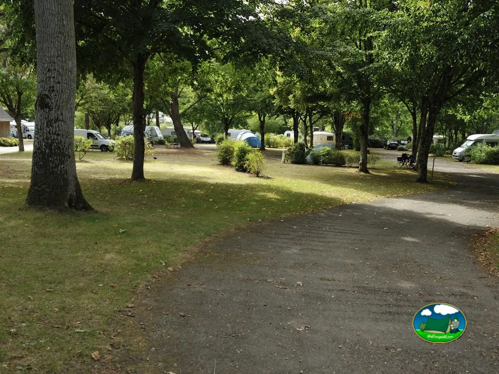 camino entre parcelas