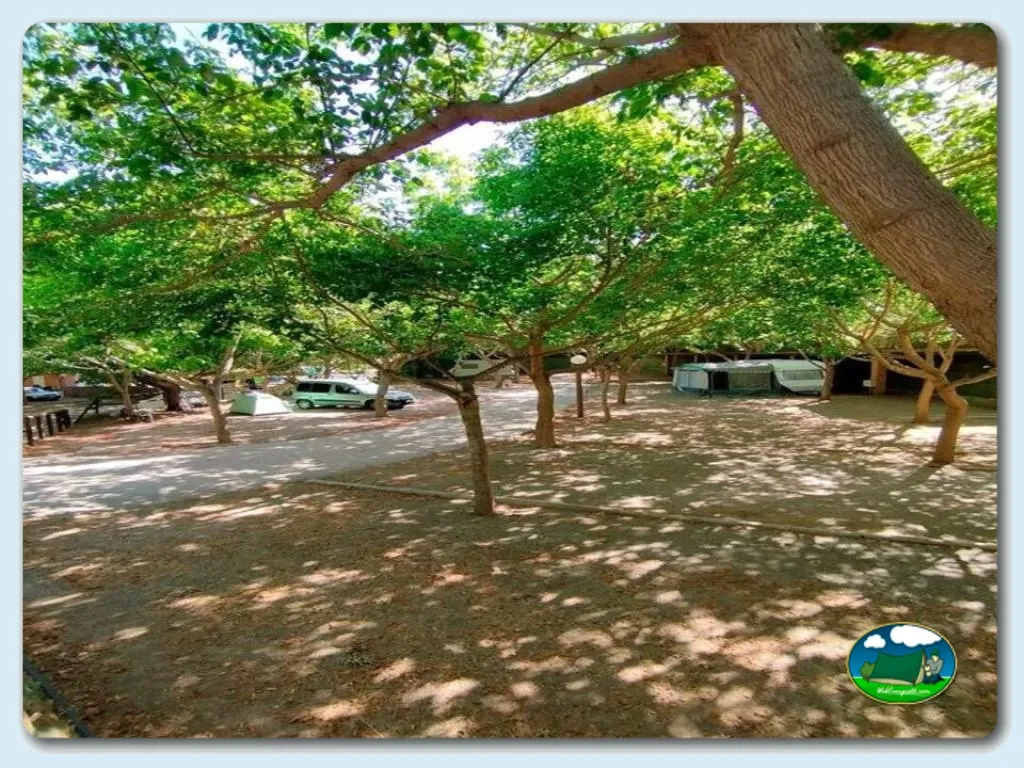 Foto de Camping El Pino, Málaga, Andalucía, España