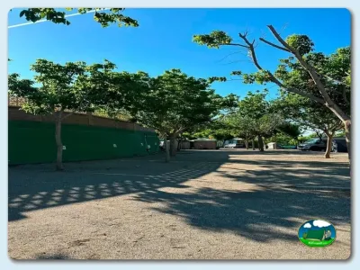 Parcela con árboles y sombra del Camping El Pino, Urbanización Torrox Park (Málaga)