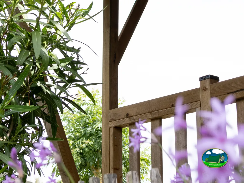 jardín con flores y madera