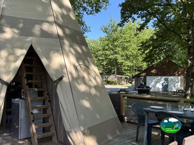 Glamping entre árboles