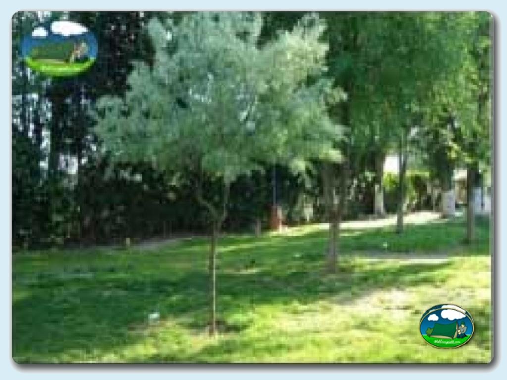 foto del camping Camping Maria Eugenia