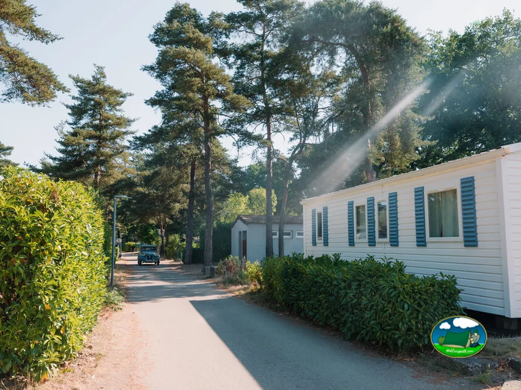 mobil home entre pinos
