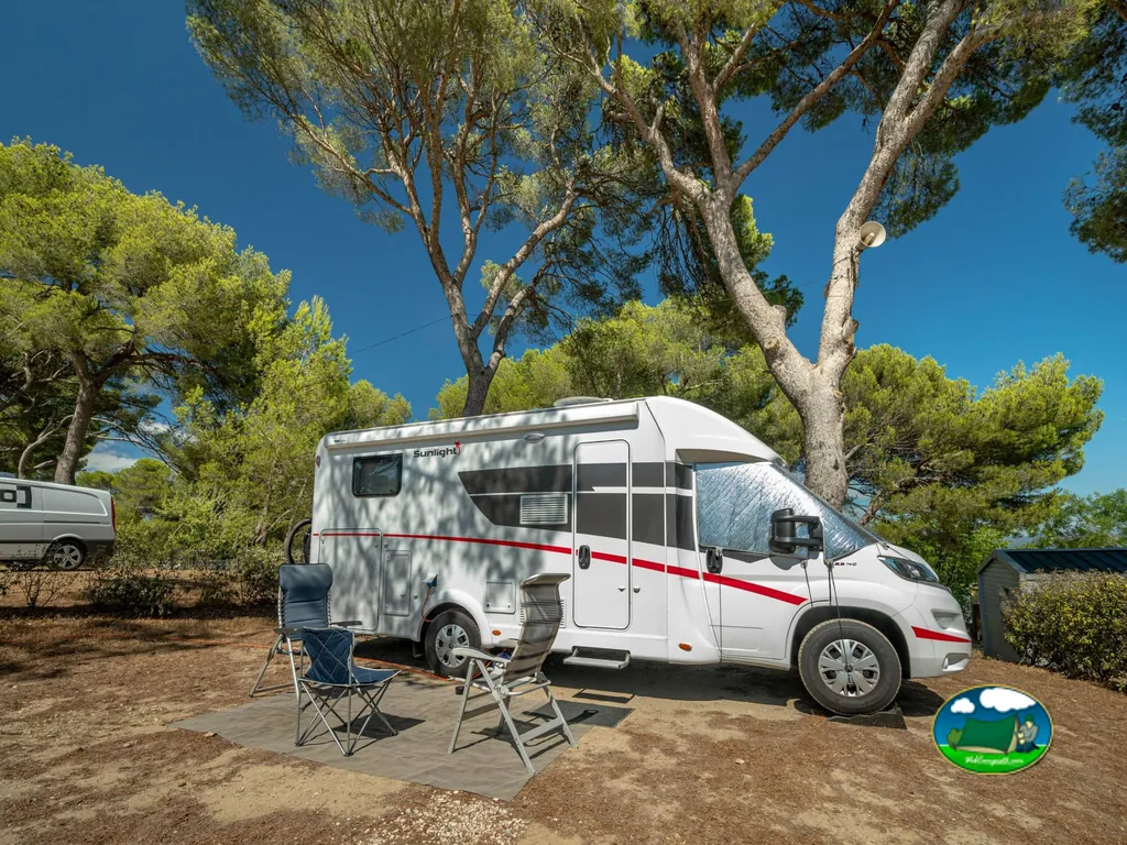 autocaravana bajo pinos