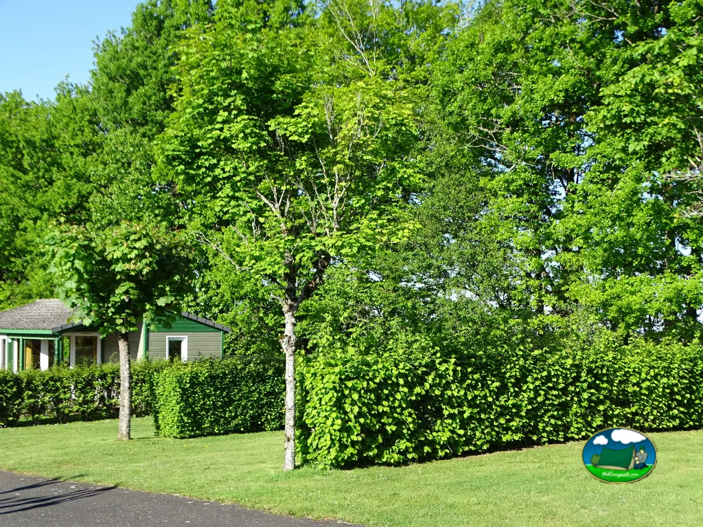 Bungalow entre árboles