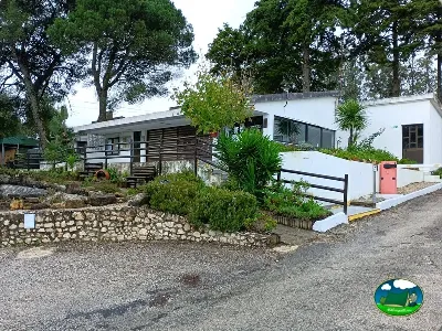 Bungalow con terraza y vistas a la arboleda del Camping Almargem do Obispo, Lisboa (Lisboa)