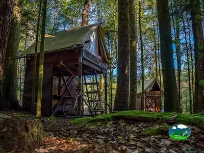 glamping entre árboles