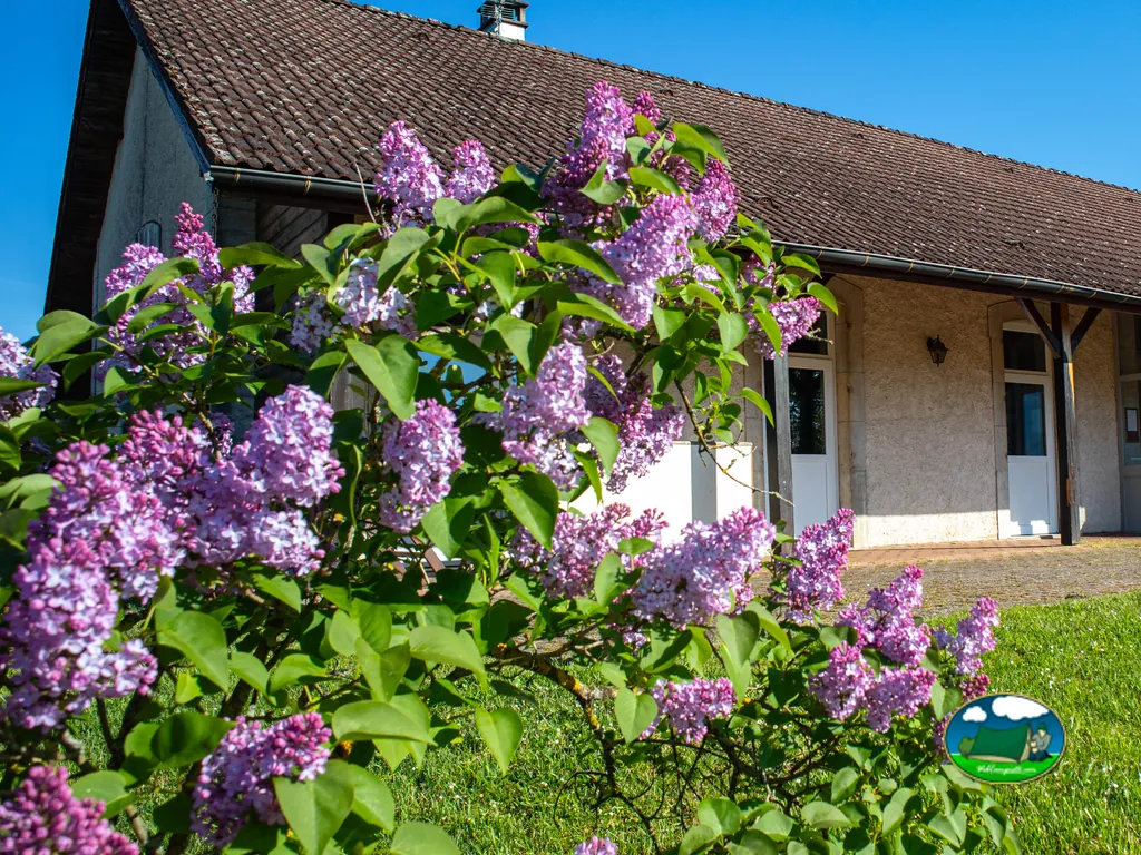 fachada con lilas