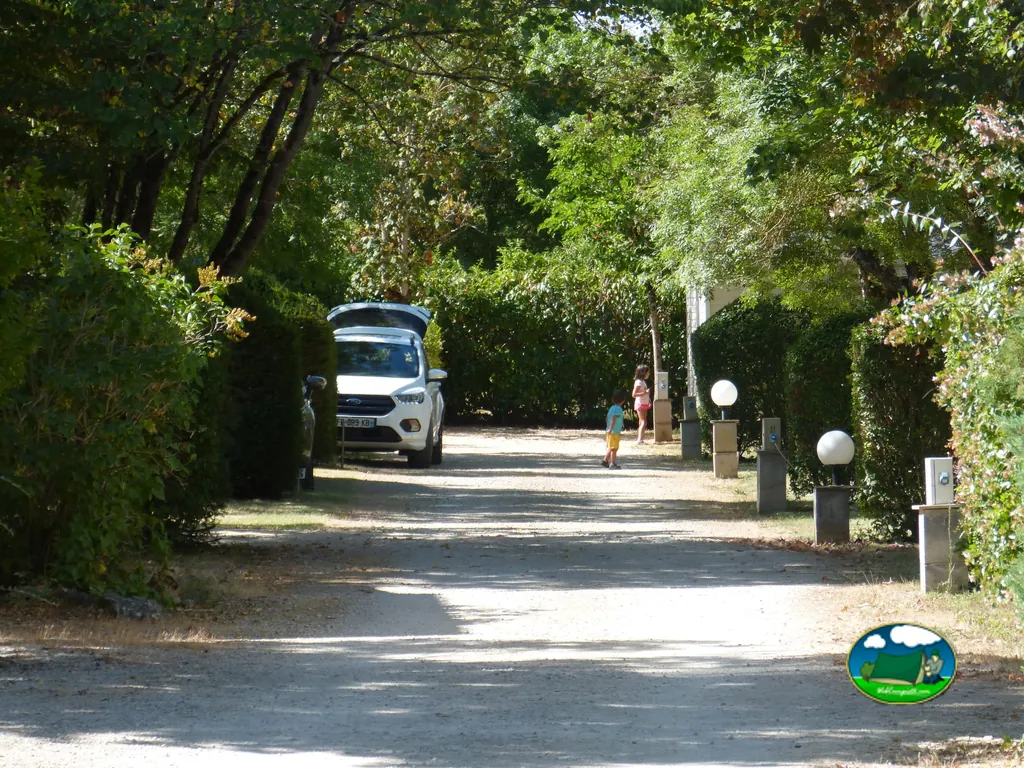 camino arbolado