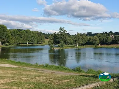 lago entre árboles