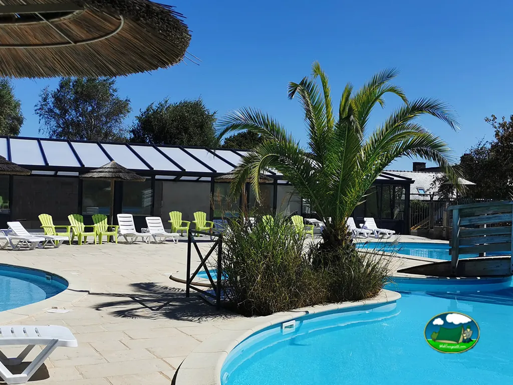 piscina con palmeras
