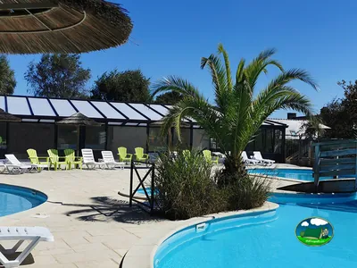piscina con palmeras