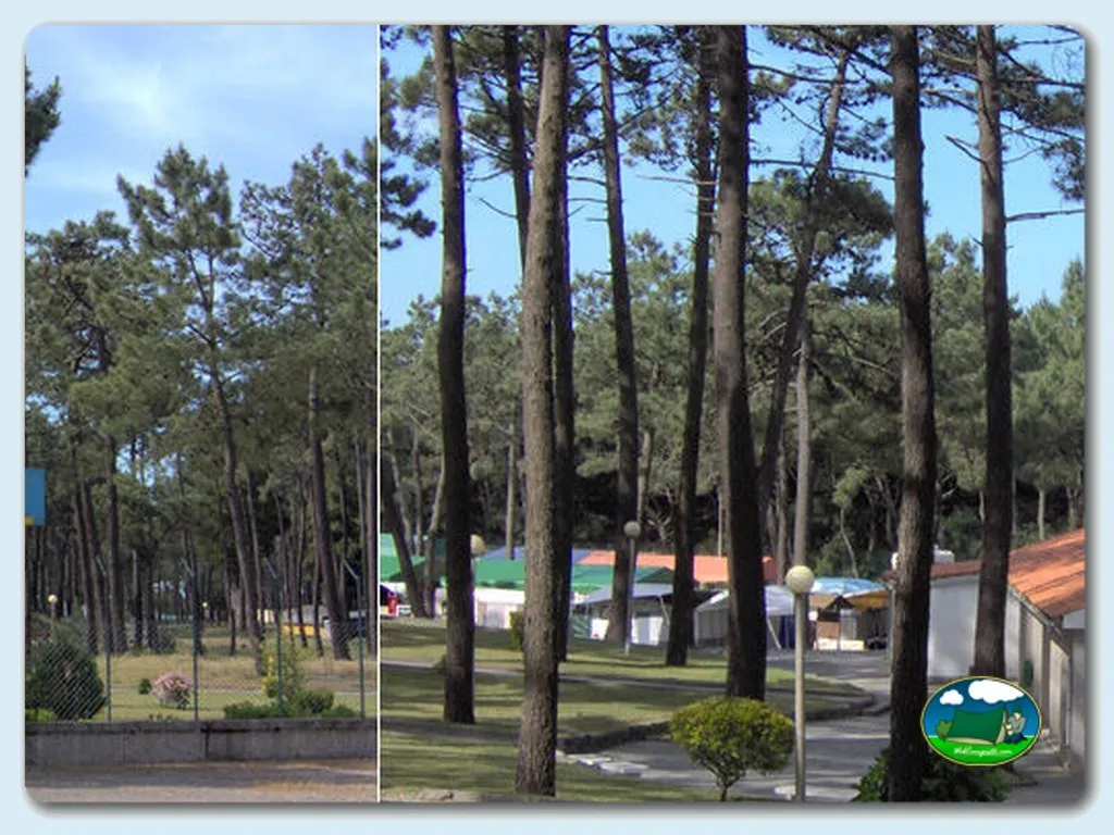 Camping Inatel Costa de Caparica en Costa de Caparica - imagen 3
