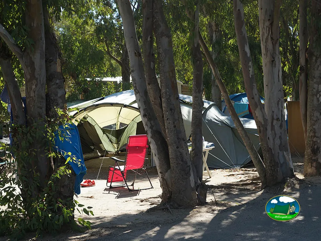 Tienda de acampada entre árboles
