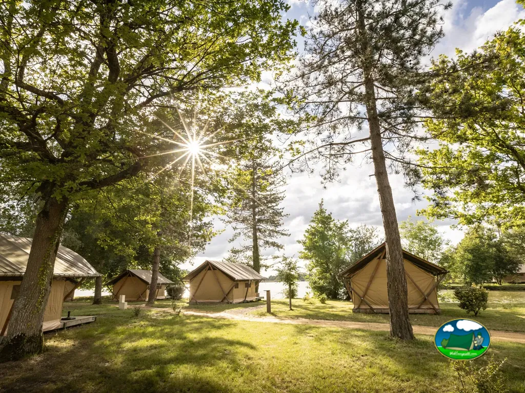 Glamping entre árboles