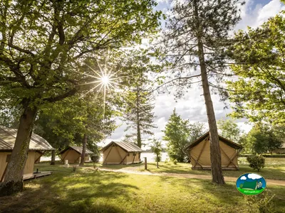 Glamping entre árboles