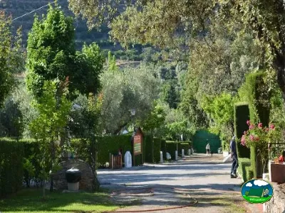 Parcela arbolada con vistas a la montaña del Camping Las Lomas, Güejar Sierra (Granada)