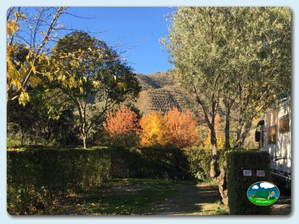 Camping Las Lomas foto de Parcela&nbsp;