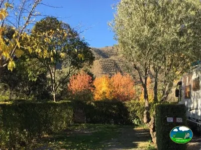 Parcela con vistas a la sierra en otoño del Camping Las Lomas, Güejar Sierra (Granada)