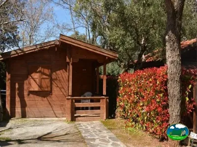 Cabaña de madera entre árboles con porche del Camping Las Lomas, Güejar Sierra (Granada)