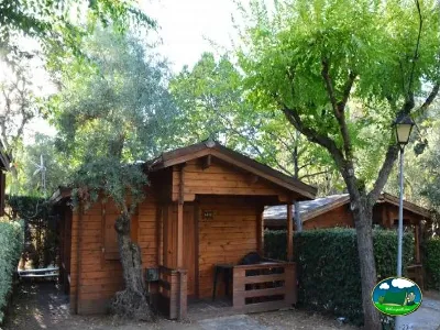 Cabaña de madera entre árboles del Camping Las Lomas, Güejar Sierra (Granada)