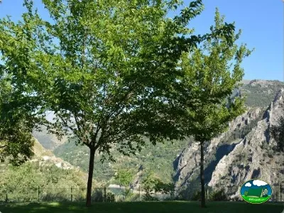 Parcela junto a río con vistas a sierra del Camping Las Lomas, Güejar Sierra (Granada)