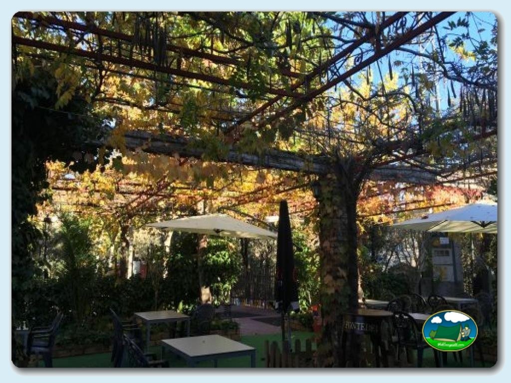 Camping Las Lomas foto de Restaurante