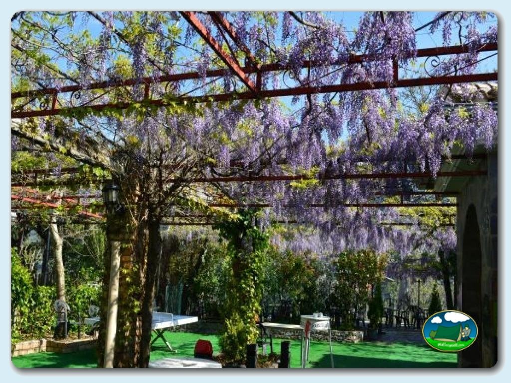 Camping Las Lomas foto de Restaurante