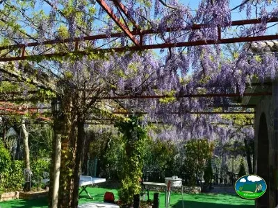 Parcela con glicina y pérgola de madera del Camping Las Lomas, Güejar Sierra (Granada)