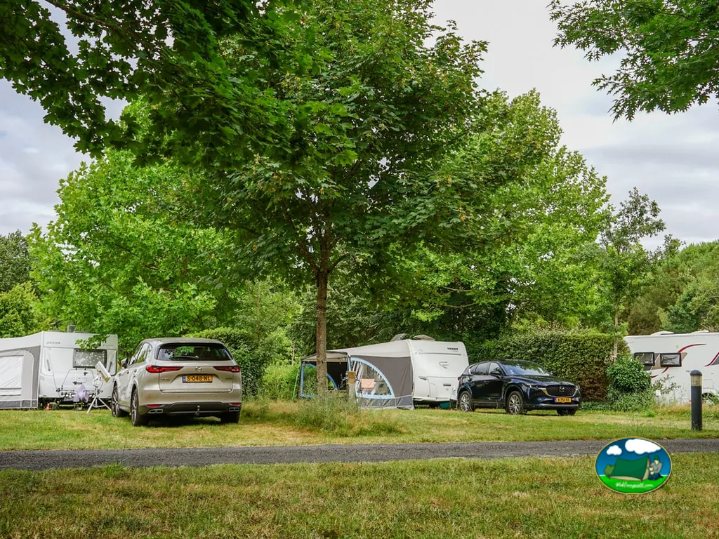 parcela de acampada arbolada