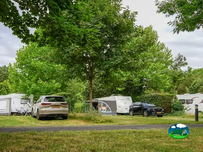 parcela de acampada arbolada