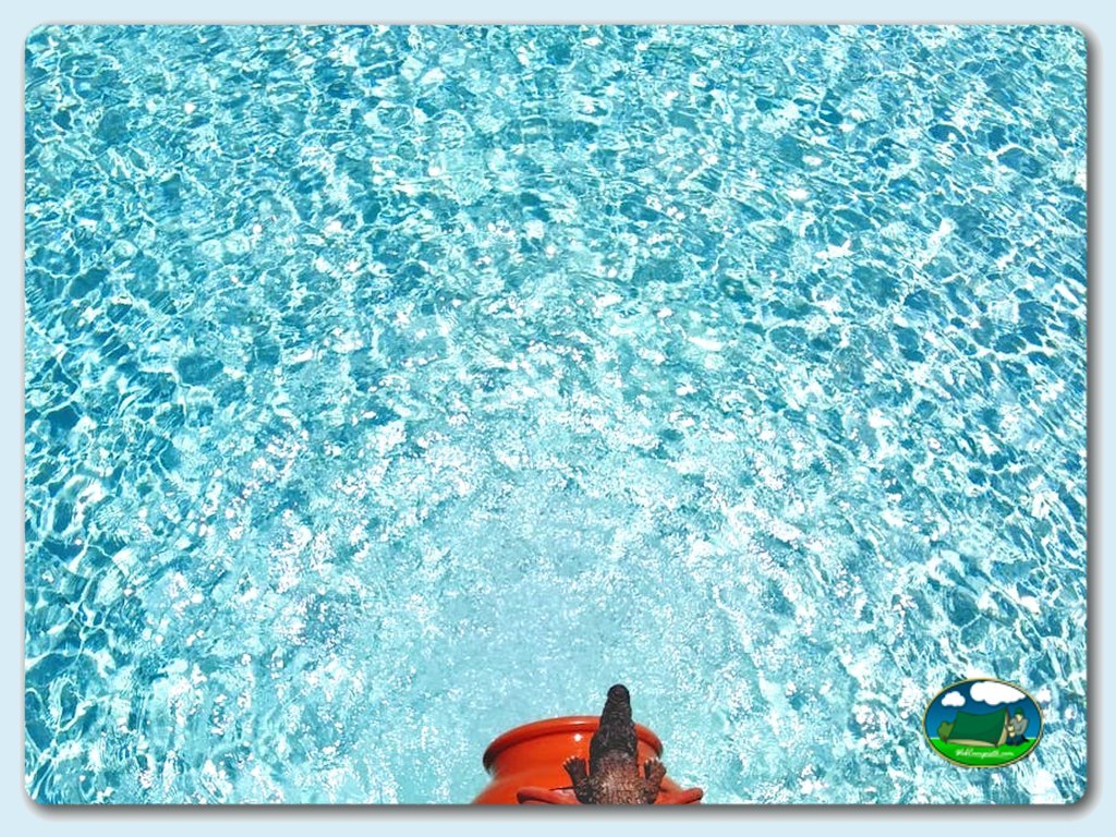 foto del camping Camping Alto de Viñuelas