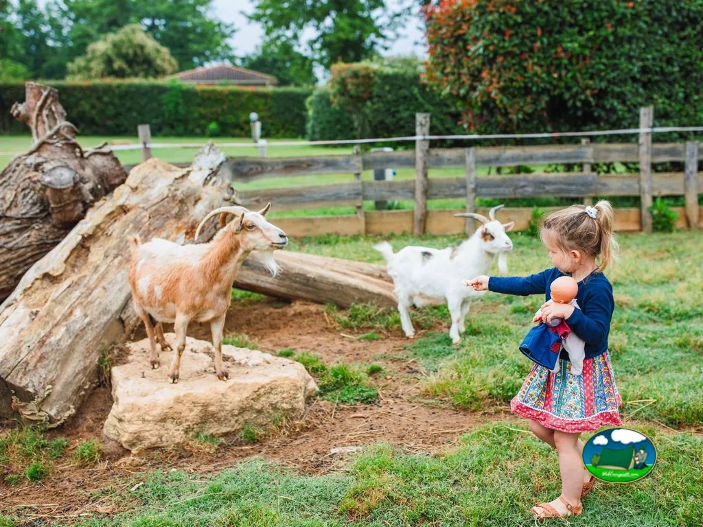 Parque infantil con animales
