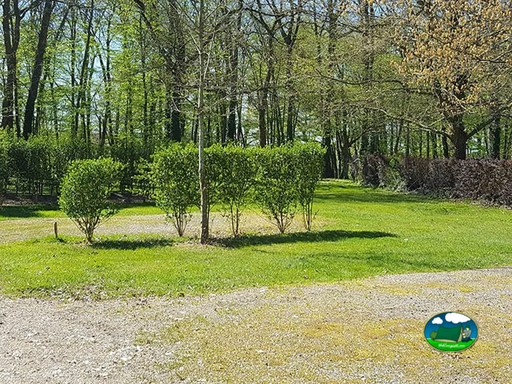Parcela entre árboles