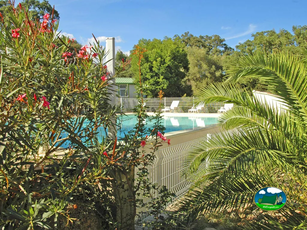 piscina entre palmeras